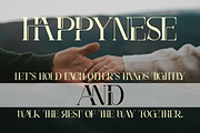 452B Sparked Font, a Serif Font by 177Studio (Thumbnail 3 of 8)