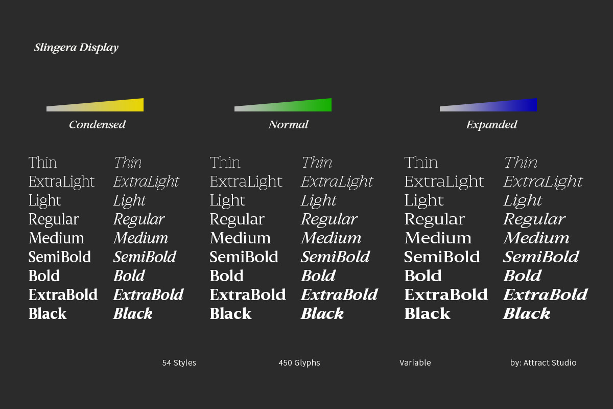 Slingera - Display Serif, a Serif Font by Attract Studio (Photo 3 of 17)