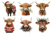 Christmas Highland Cow Clipart, an Illustration by Daily.Designs (Thumbnail 5 of 5)