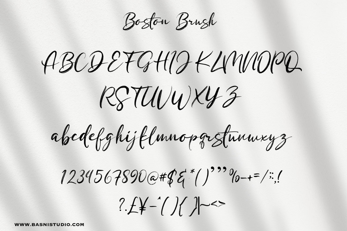 Boston Brush | Brush font, a Script Font by Basnistudio (Photo 6 of 7)