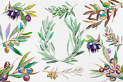 OLIVE Watercolor Clip Art, an Illustration by Alim Yakubov (Thumbnail 2 of 6)