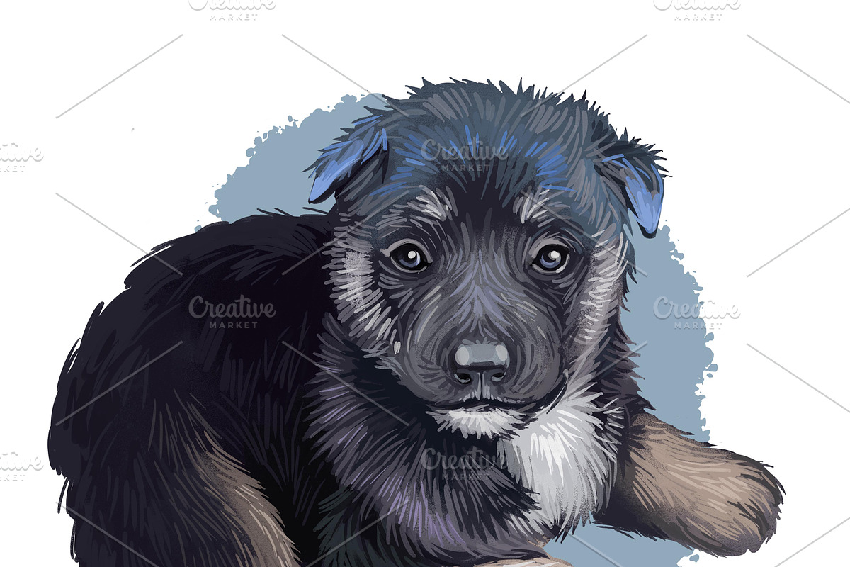Puppies Dog Breeds Big Bundle 135Pcs, an Animal Illustration by Dneprstock (Photo 56 of 68)