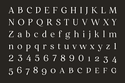 Restora Neue - 18 Fonts, a Serif Font by Nasir Udin (Thumbnail 20 of 20)