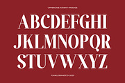 Advent Passage - Elegant Serif Font, a Serif Font by Flawless And Co (Thumbnail 7 of 10)