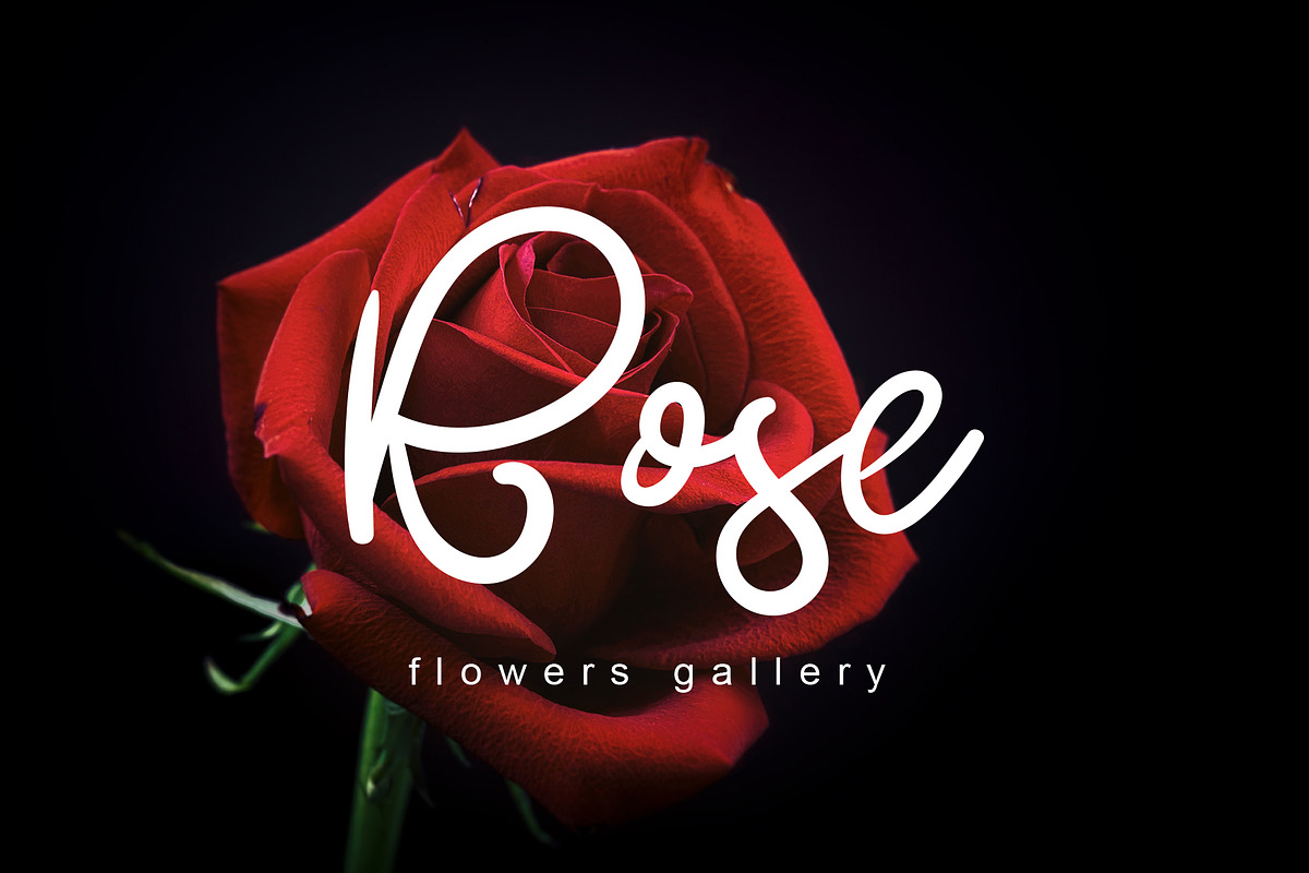 Butterfly a lovely script font preview 5