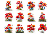 Spring meadow poppies clipart, an Illustration by SinaCreation (Thumbnail 2 of 11)