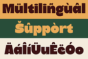 Pilker - Bold Logo Font with Inktrap, a Sans Serif Font by Pekotype (Thumbnail 5 of 15)