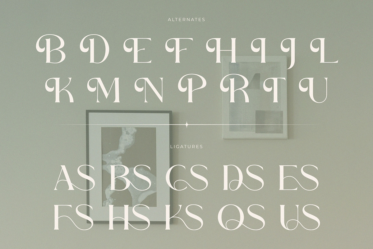 Becaose - Stylis Serif Typeface, a Serif Font by GridlineType (Photo 8 of 10)