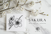 Sakura Flowers Line Art SVG, an Object Graphic by Dervik Art Store (Thumbnail 5 of 9)