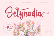 Selynadia Bold Brush Font, a Script Font by stylishtype.co (Thumbnail 1 of 20)