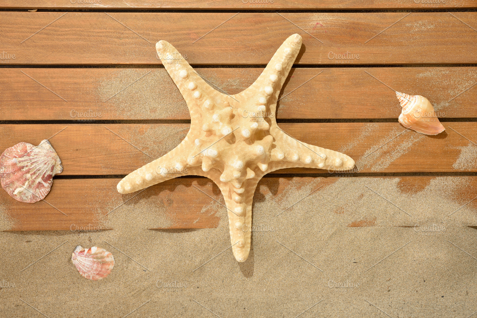Starfish and Seashells on Sandy Wooden Background, a Holiday Photo by Davizro's Market
