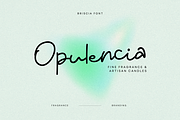 Briscia – A Graceful Script Font, a Handwritten Font by Creacy Studio (Thumbnail 3 of 10)
