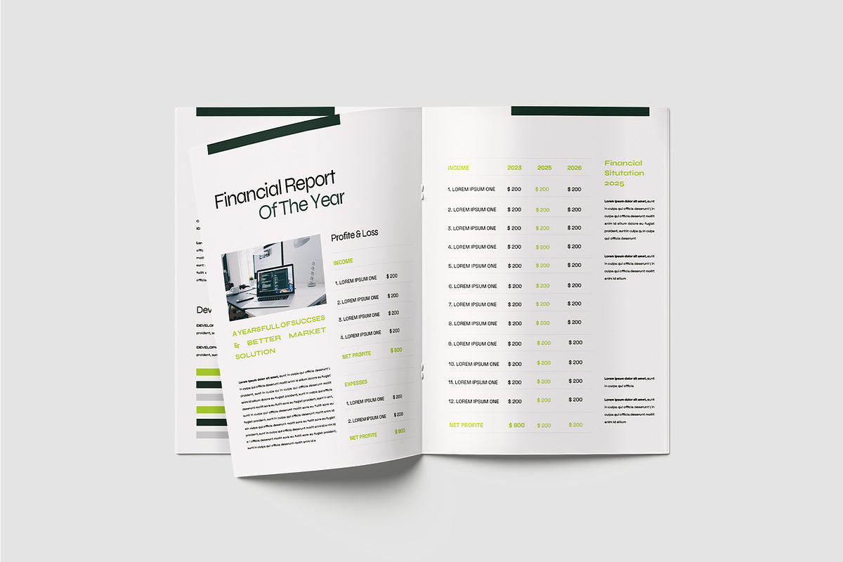 Project Annual Report Template, a Brochure Template by TMint Play (Photo 3 of 8)