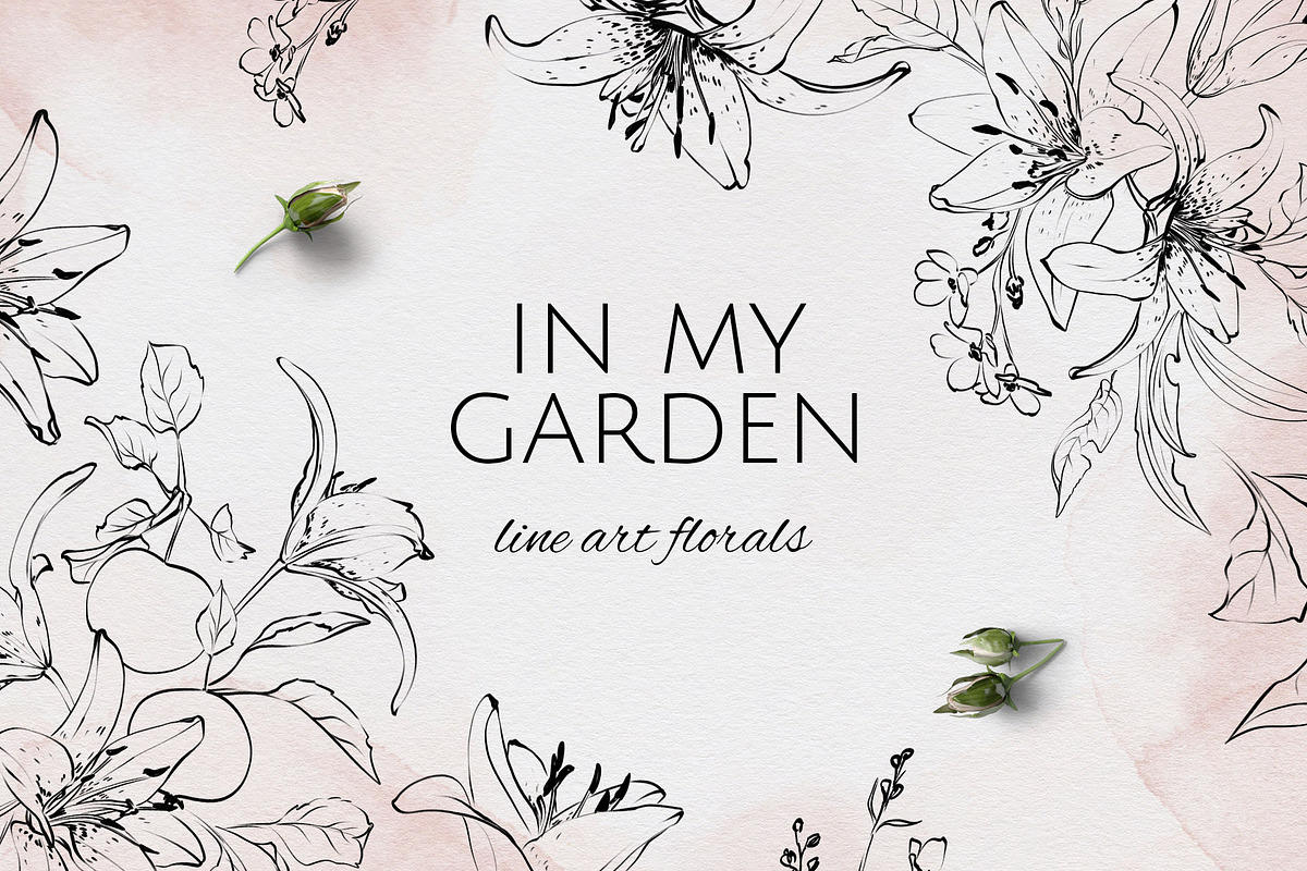 IN MY GARDEN line art florals, a Decorative Illustration by Yuliia Lashevska (Photo 1 of 11)