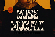Modern Font Collection, a Serif Font by Sans & Sons (Thumbnail 8 of 21)