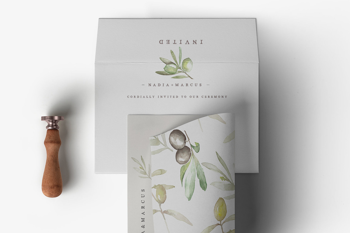 Olive Branch & Leaves Illustrations, a Texture Illustration by Greek fonts by nantia.co (Photo 5 of 9)