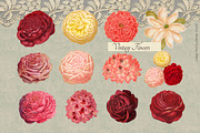 Vintage Museum Collage Elements Pack, an Object Graphic by Oksana Trygub (Thumbnail 8 of 29)