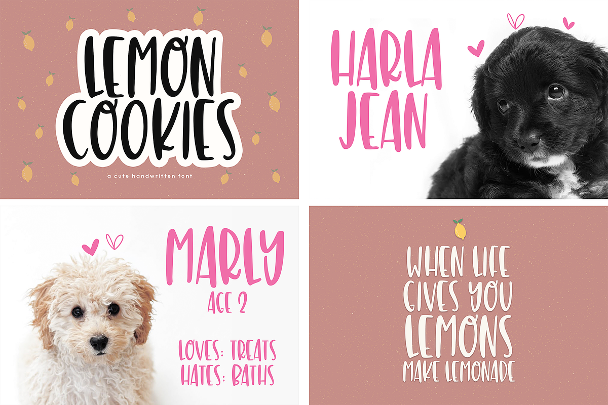 Winter Handwritten Font Bundle, a Script Font by KA Designs (Photo 54 of 55)