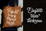 Blandony - Modern Vintage Monoline, a Script Font by Novitype (Thumbnail 9 of 12)