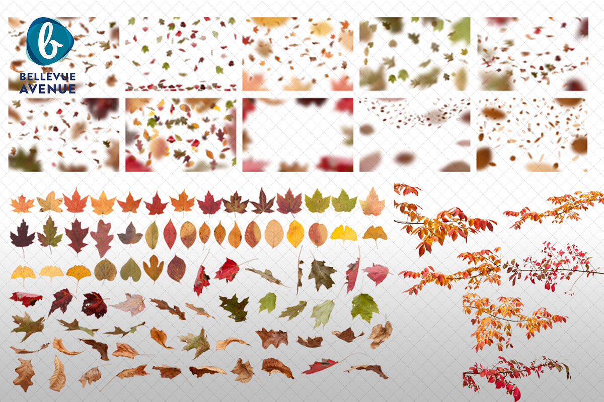 Leaf & Branch Overlays (Real) preview 6