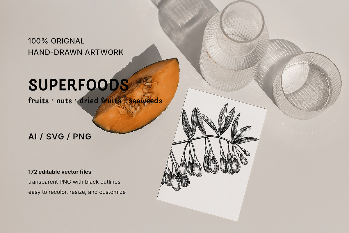 Superfoods: Fruit & Nuts Vector Set, a Food Illustration by Yevheniia (Photo 11 of 11)