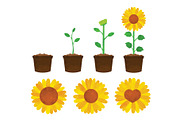 Sunflower Clipart, an Illustration by SugarPickle Clip Art (Thumbnail 2 of 4)