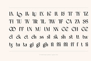AO Mireille - Display Typeface, a Font by OwunStudio (Thumbnail 4 of 15)
