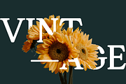 Gandia - Display Serif Typeface, a Font by Jehoo Creative (Thumbnail 2 of 10)
