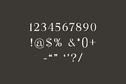 Polluxie Feminine Serif Font, a Serif Font by UICreative (Thumbnail 4 of 12)