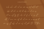 Crimson Foam Stylish Font, a Script Font by Typetemp Studio (Thumbnail 21 of 21)