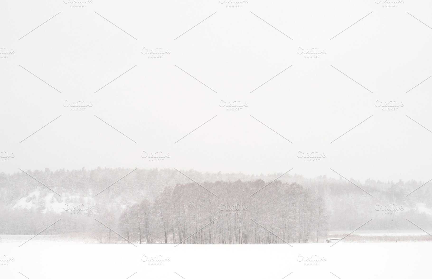 Wintery Landscape