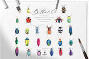 Watercolor Beetles&Co, an Animal Illustration by beehouse studio (Thumbnail 2 of 6)