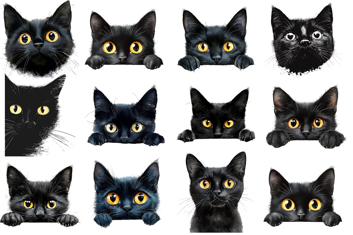 Black Cat Peeking PNG, an Illustration by SinaCreation (Photo 3 of 5)