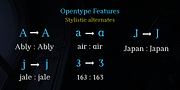 Manas VF, a Serif Font by Fontuma (Thumbnail 5 of 12)