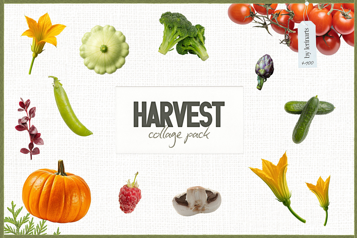 Harvest Collage Pack, an Object Graphic by lerinartstudio (Photo 1 of 7)