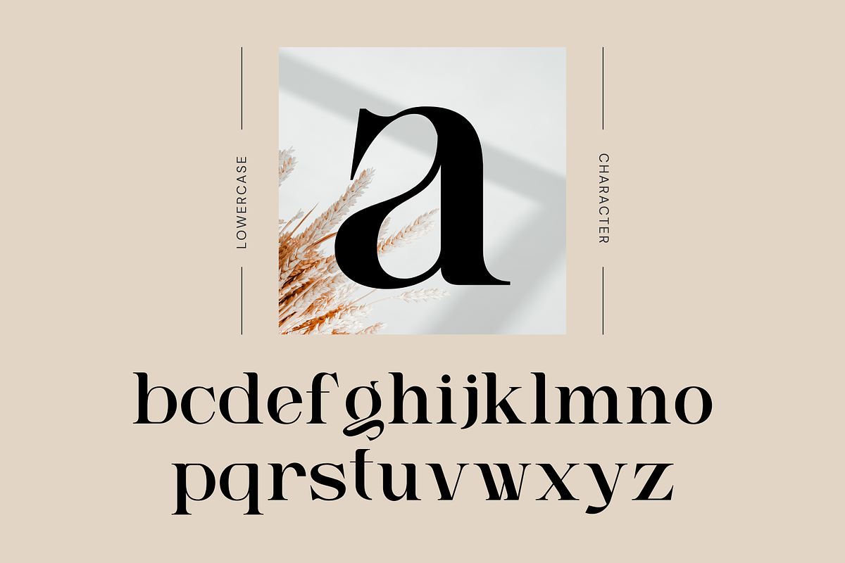 Ngetic Modern - Branding Logo Font, a Serif Font by Nirmana Visual (Photo 3 of 10)
