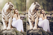 Cinematic - 500 Lightroom Presets, an Action Add-On by LUXDesignStudios (Thumbnail 8 of 14)