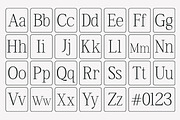 Valtica – Modern Editorial Serif, a Serif Font by OV Type (Thumbnail 3 of 9)
