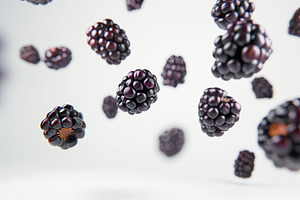 Ripe blackberries flying in the air on white background, a Food & Drink Photo by AlyaAnd