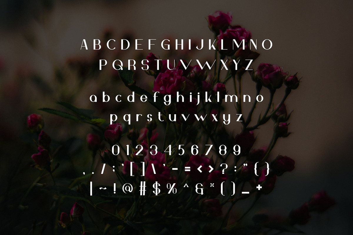 Urino, a Serif Font by riotama85 (Photo 2 of 5)
