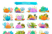 Coral Reef & Seashell Collection, a Decorative Illustration by YG Studio (Thumbnail 4 of 4)