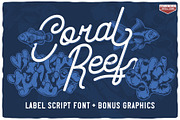 16 Font Families Bundle, a Font by VozzyStock (Thumbnail 7 of 17)