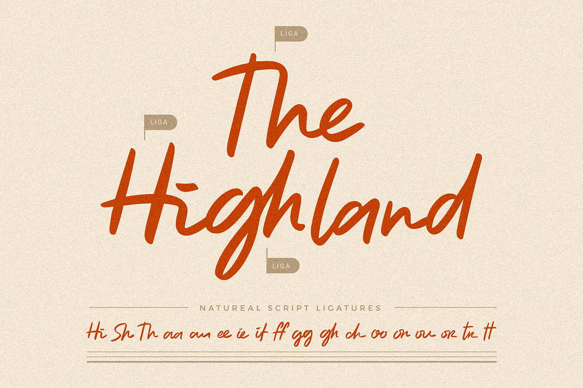 Natureal Script - Elegant Font, a Script Font by Invasi Studio (Photo 8 of 10)