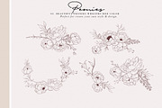 Peonies Hand Draw, an Illustration by Luiz da Rolt Grathwohl (Thumbnail 5 of 8)