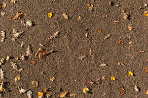 A textured sandy surface scattered with autumn leaves in various colors, a Nature Photo by Textures & Backgrounds