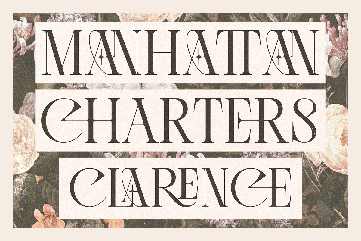 Lissa Stylish Ligature Serif Font, a Serif Font by Eotype Studio (Photo 2 of 9)