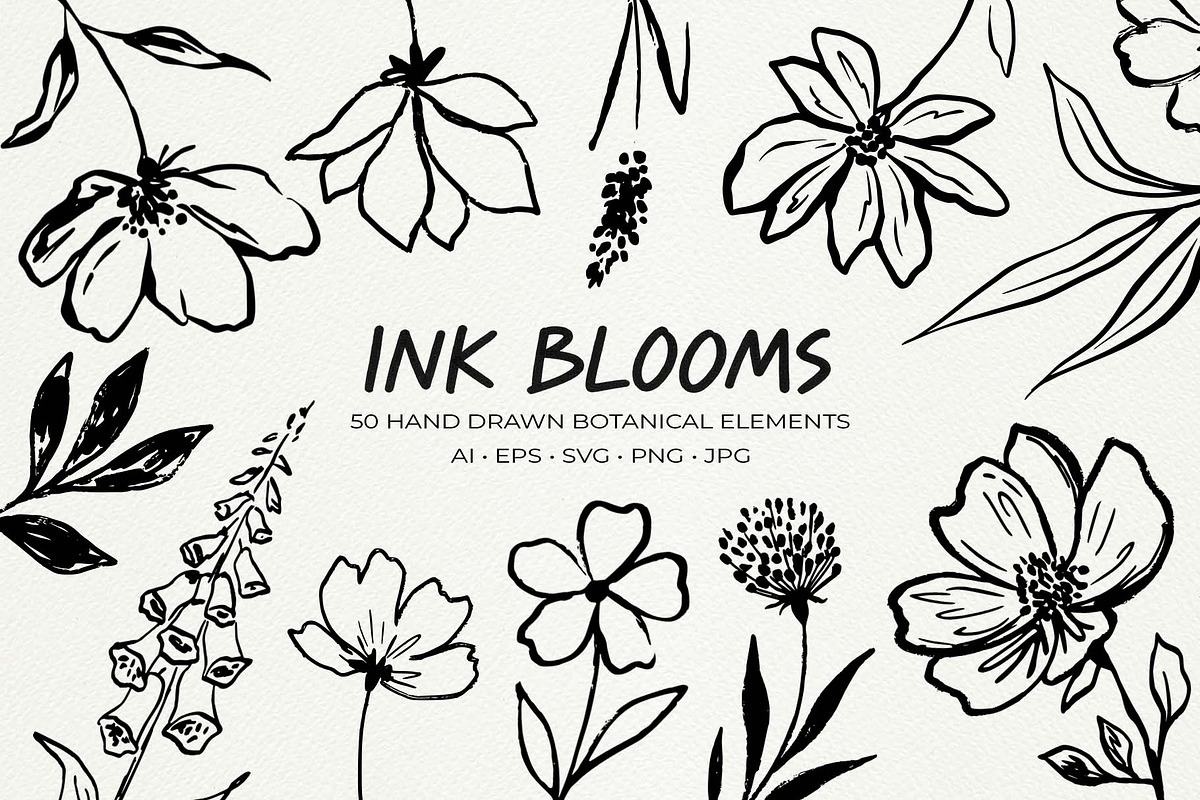 Hand Drawn Ink Botanical Elements, a Decorative Illustration by Irina Ostapenko (Photo 1 of 10)