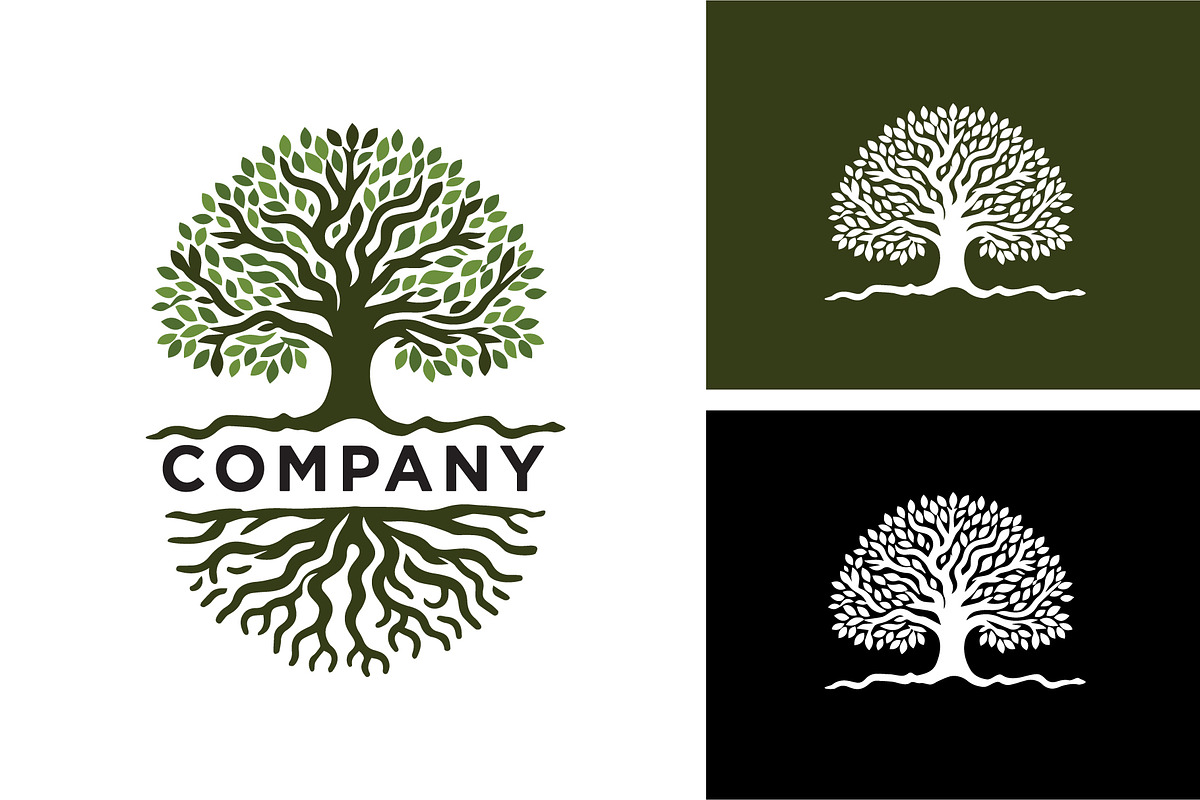 Oak Maple Tree With Root Logo, a Branding & Logo Template by funpixel