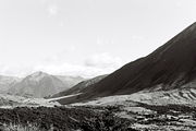 FUJI Neopan & Superia-LR & Photoshop, a Plug-in Add-On by SDCOfilm (Thumbnail 6 of 6)