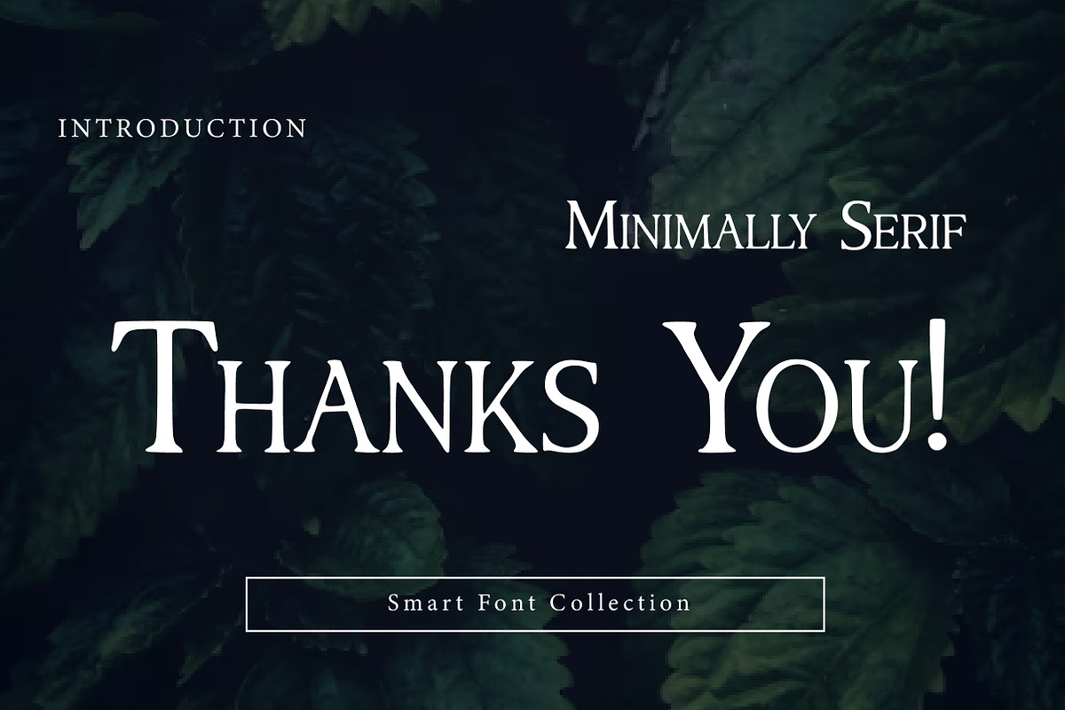 Minimally Serif, a Serif Font by Wow Magic (Photo 3 of 3)